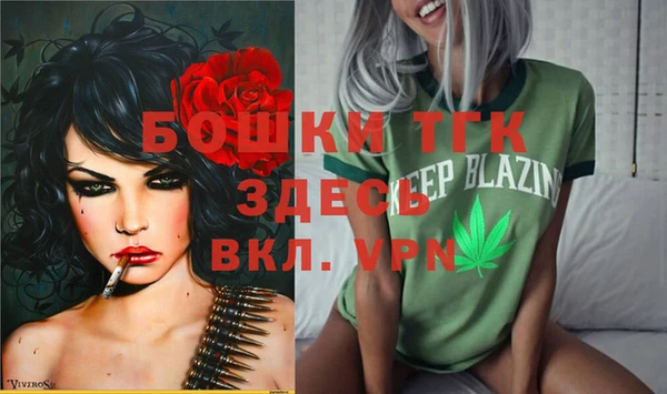 мдпв Балахна